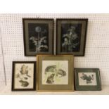 Five framed nature studies: Pair of gouache studies of insects on dandelion and thistle, unsigned,