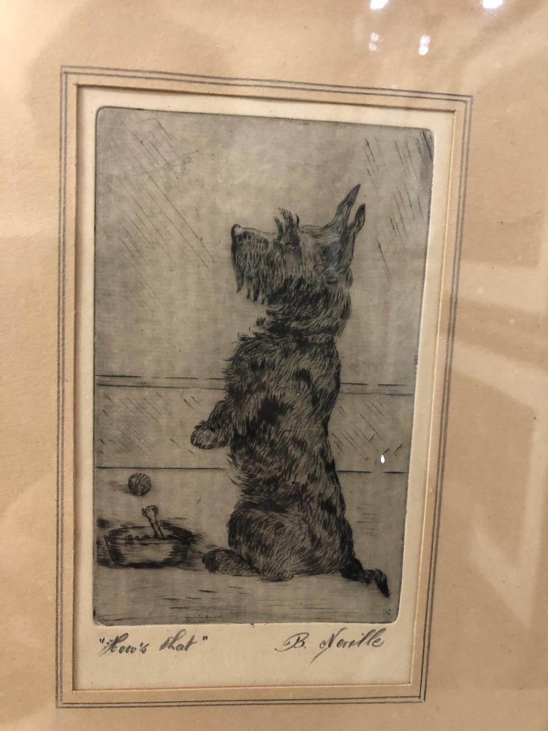 Four prints of Scottish terriers: James Arden Grant (1887-1974) 'Aberdeen Terrier' drypoint etching, - Image 2 of 6