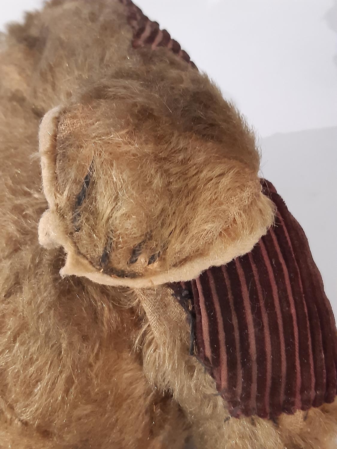 2 early 20th century teddy bears both with jointed body, pronounced muzzle and stitched nose - Image 6 of 7