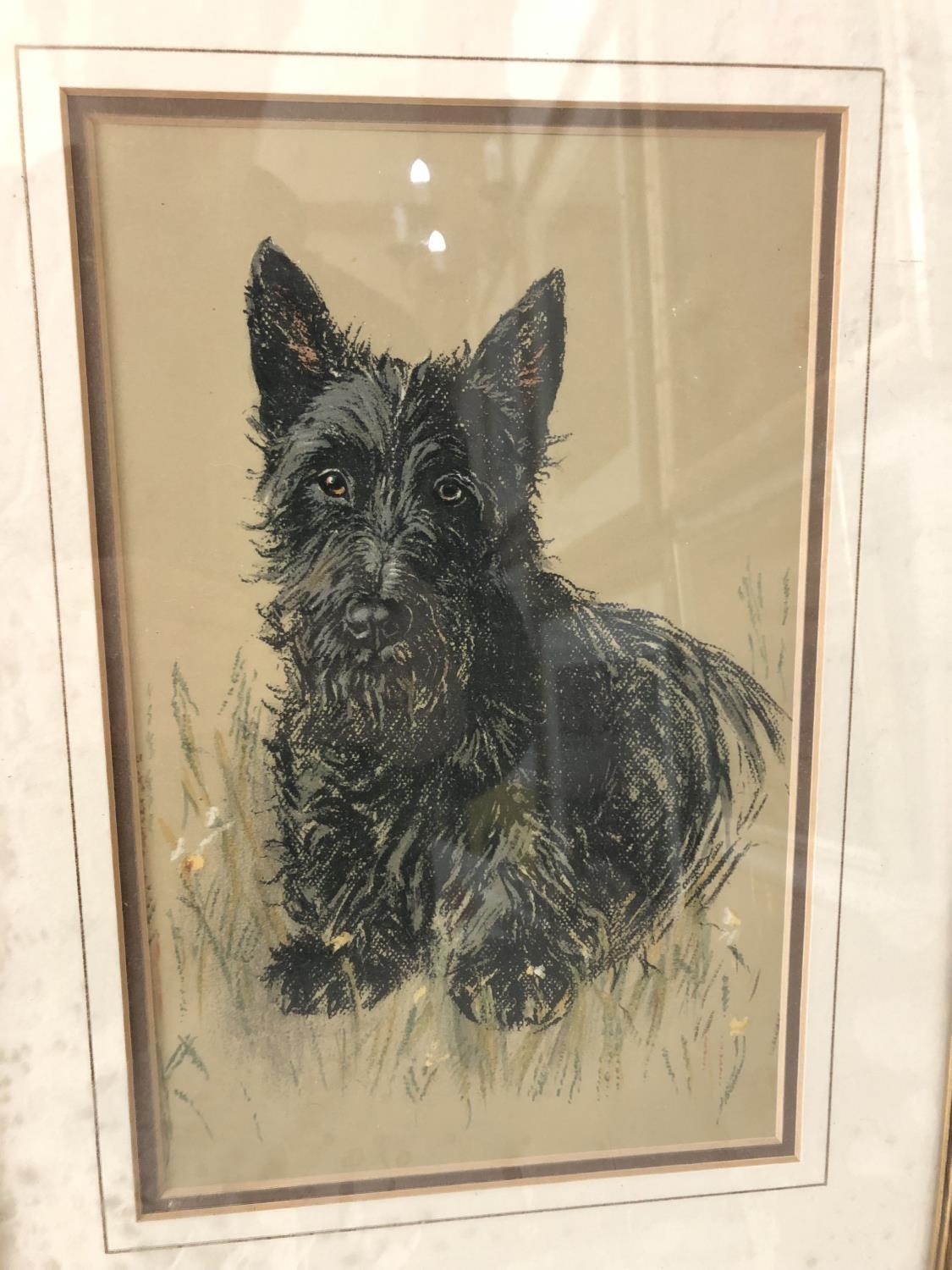 Four prints of Scottish terriers: James Arden Grant (1887-1974) 'Aberdeen Terrier' drypoint etching, - Image 4 of 6