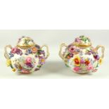 A pair of 19th century G Dale porcelain twin handled vases and covers, encrusted with and painted