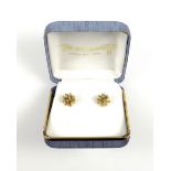 Pair of Antiguan yellow metal floral stud earrings, stamped "14Ks", 5.4grs, cased, (3)