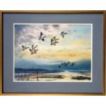 Cecil Hodgkinson (1895-1979) Mallards in flight over an estuary, watercolour, signed, 33 x 45.5;