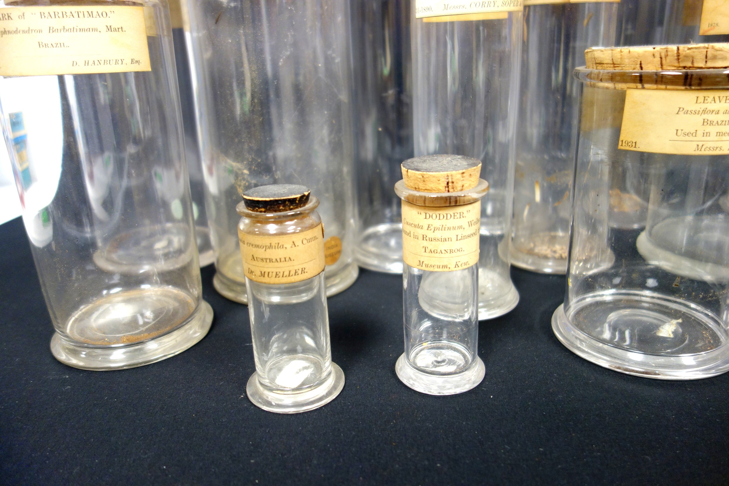 Collection of 14 Victorian and later labelled apothecary jars, including one labelled "Collected - Image 3 of 7