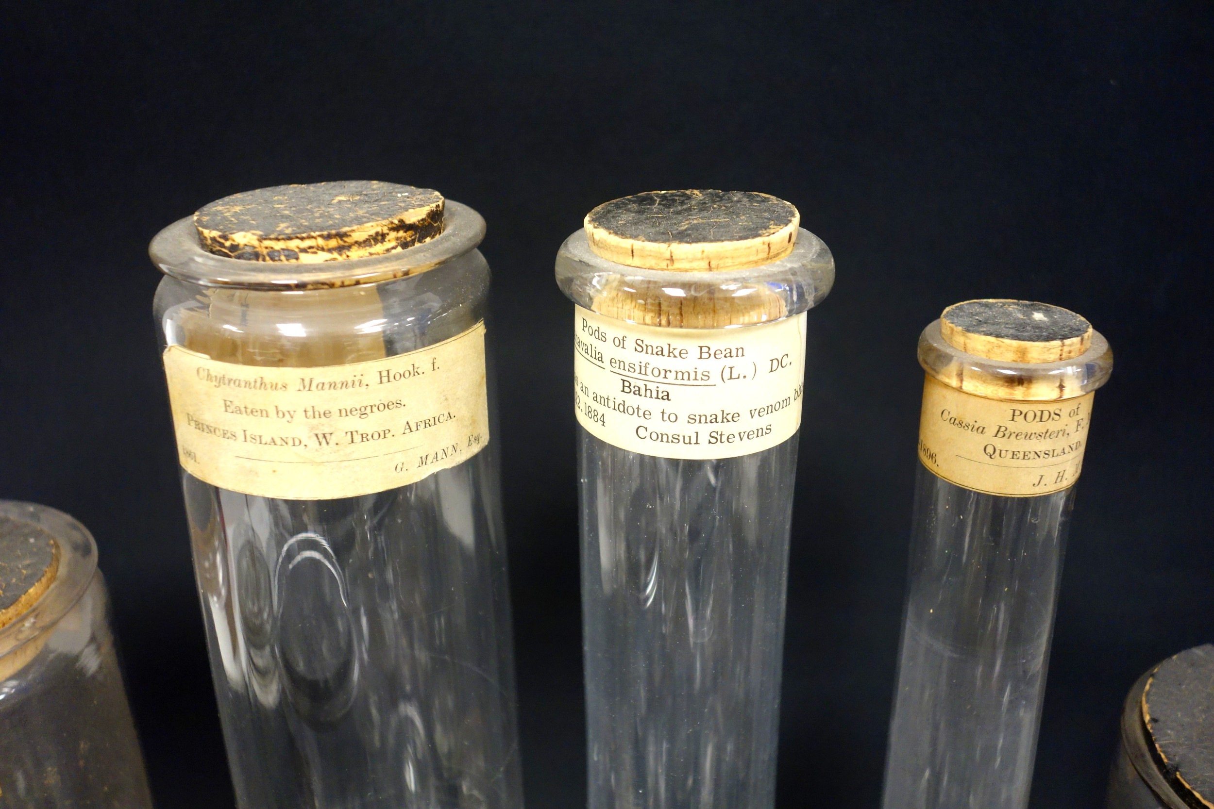 Collection of 9 Victorian and later labelled apothecary jars, including one for snake venom bites, - Image 5 of 6