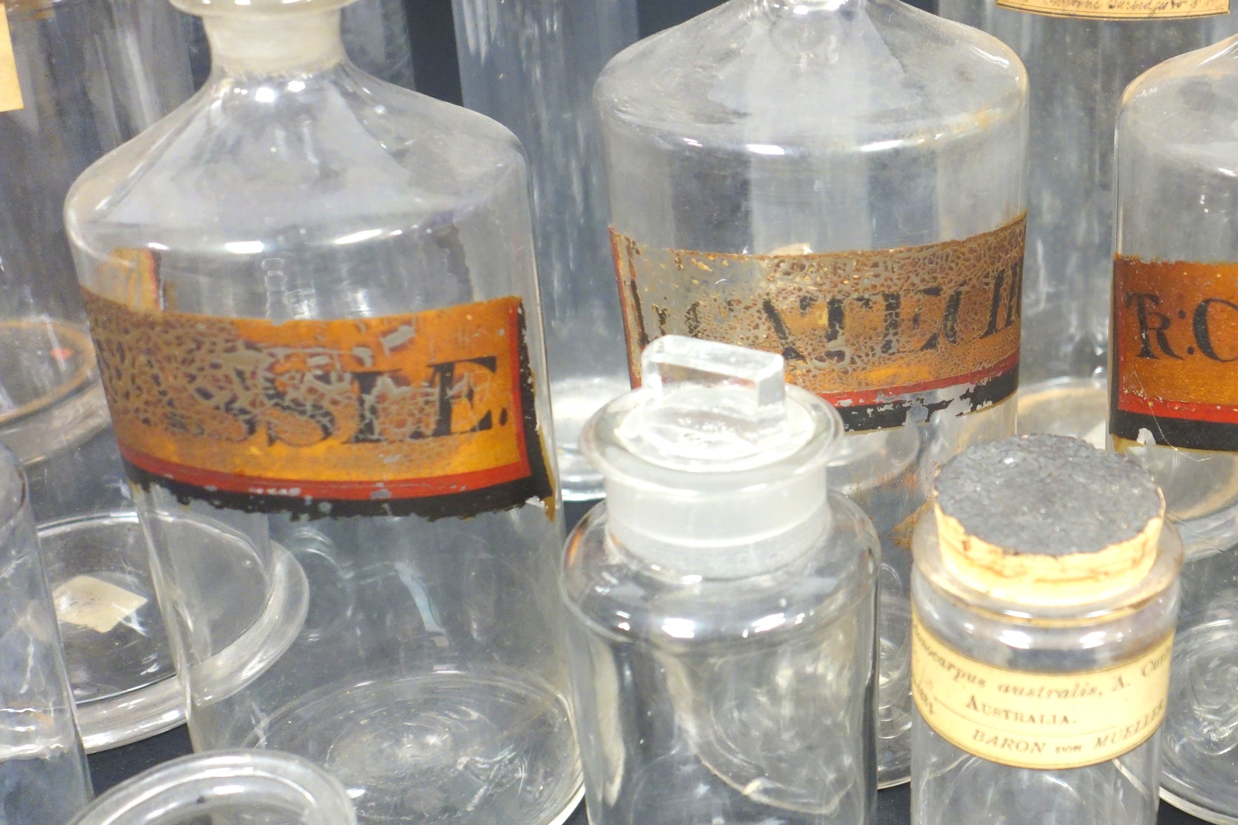 Collection of 9 Victorian and later labelled apothecary jars, including one for snake venom bites, - Image 3 of 6