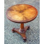 William IV table with a figured olive wood circular top with a crossbanded border, on a tapering