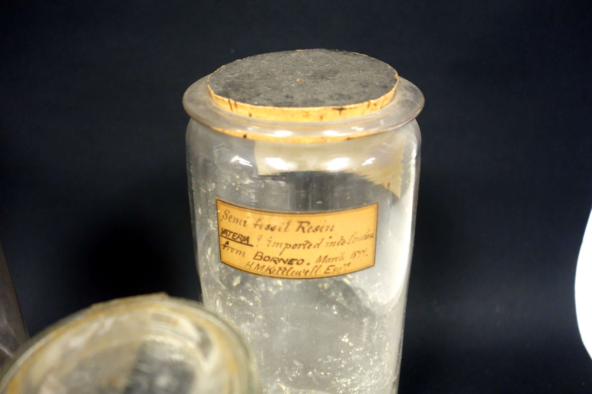 Collection of 9 Victorian and later labelled apothecary jars, including one for snake venom bites, - Image 4 of 6