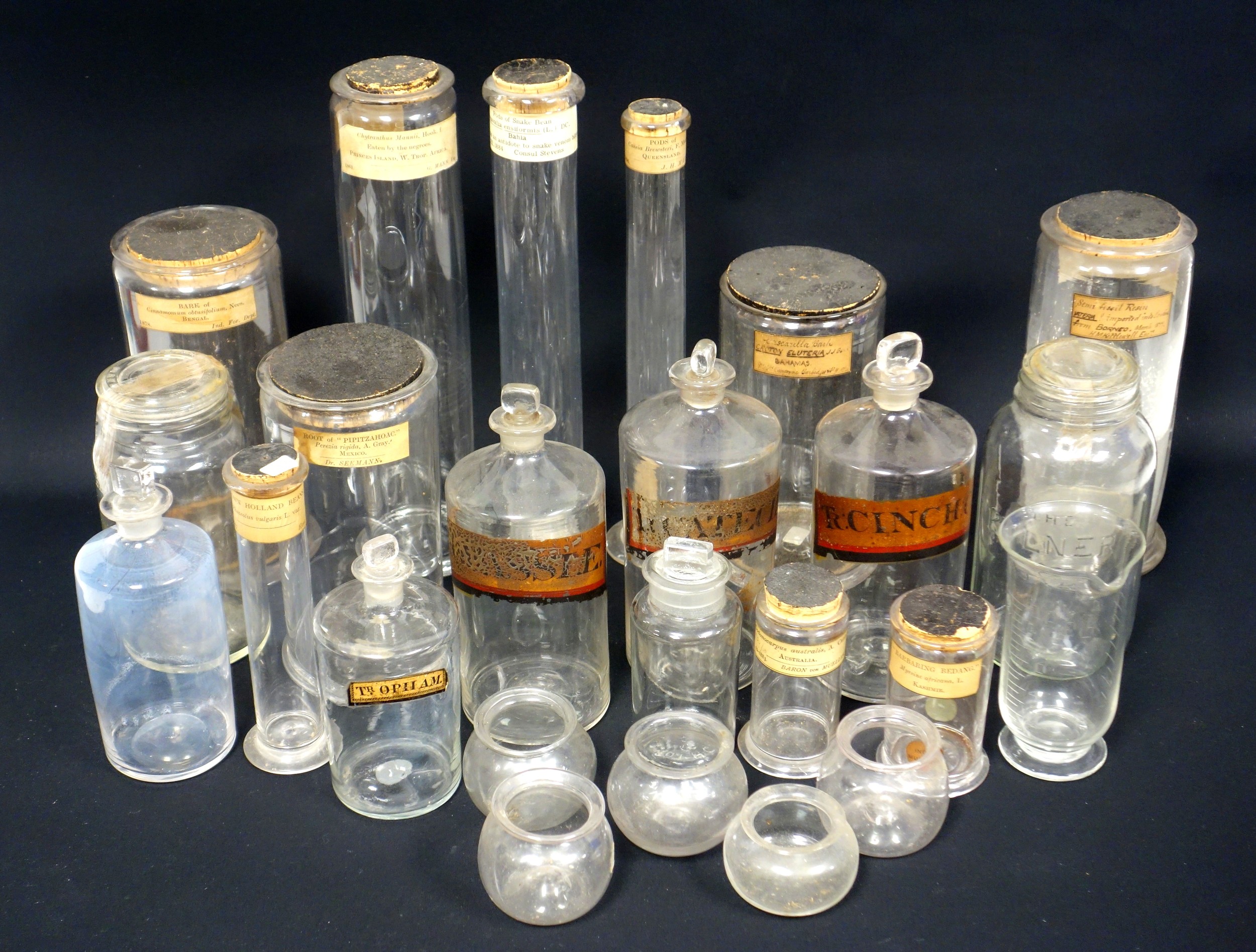 Collection of 9 Victorian and later labelled apothecary jars, including one for snake venom bites,