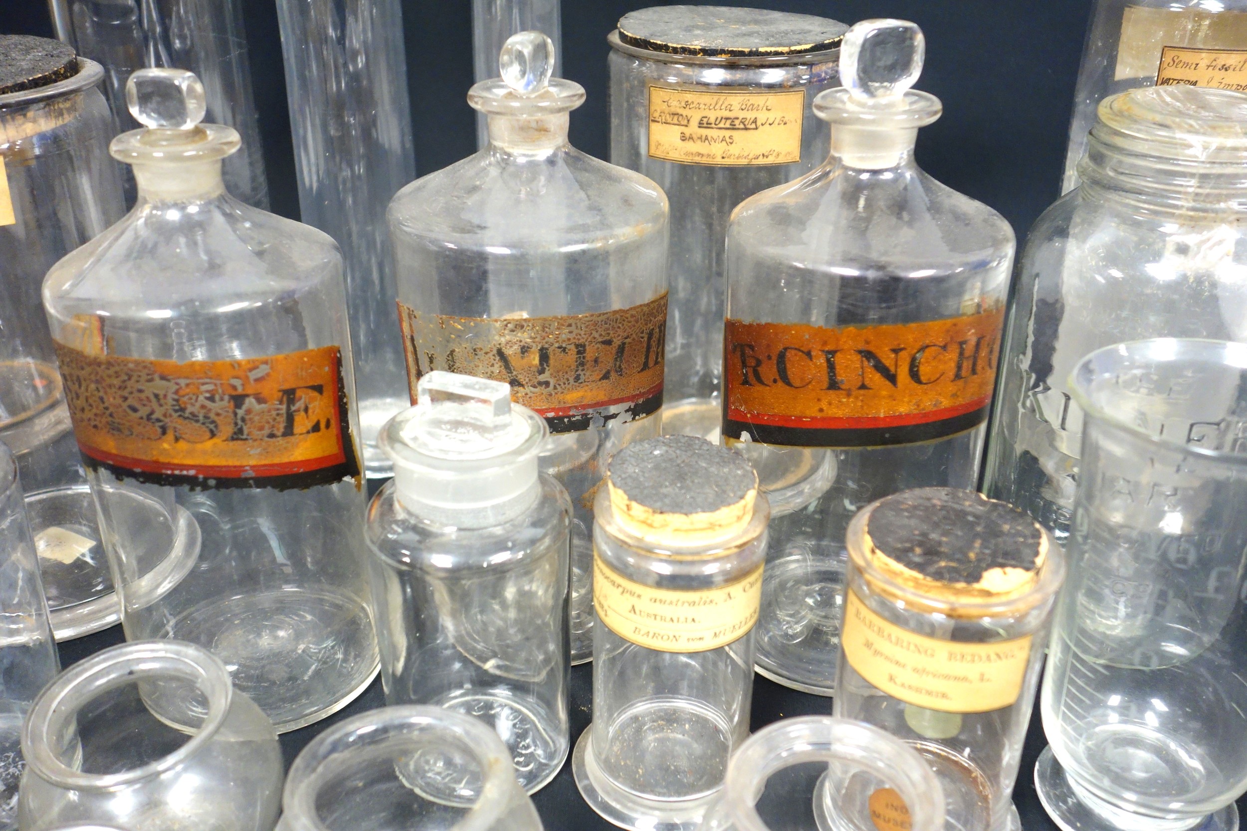 Collection of 9 Victorian and later labelled apothecary jars, including one for snake venom bites, - Image 2 of 6