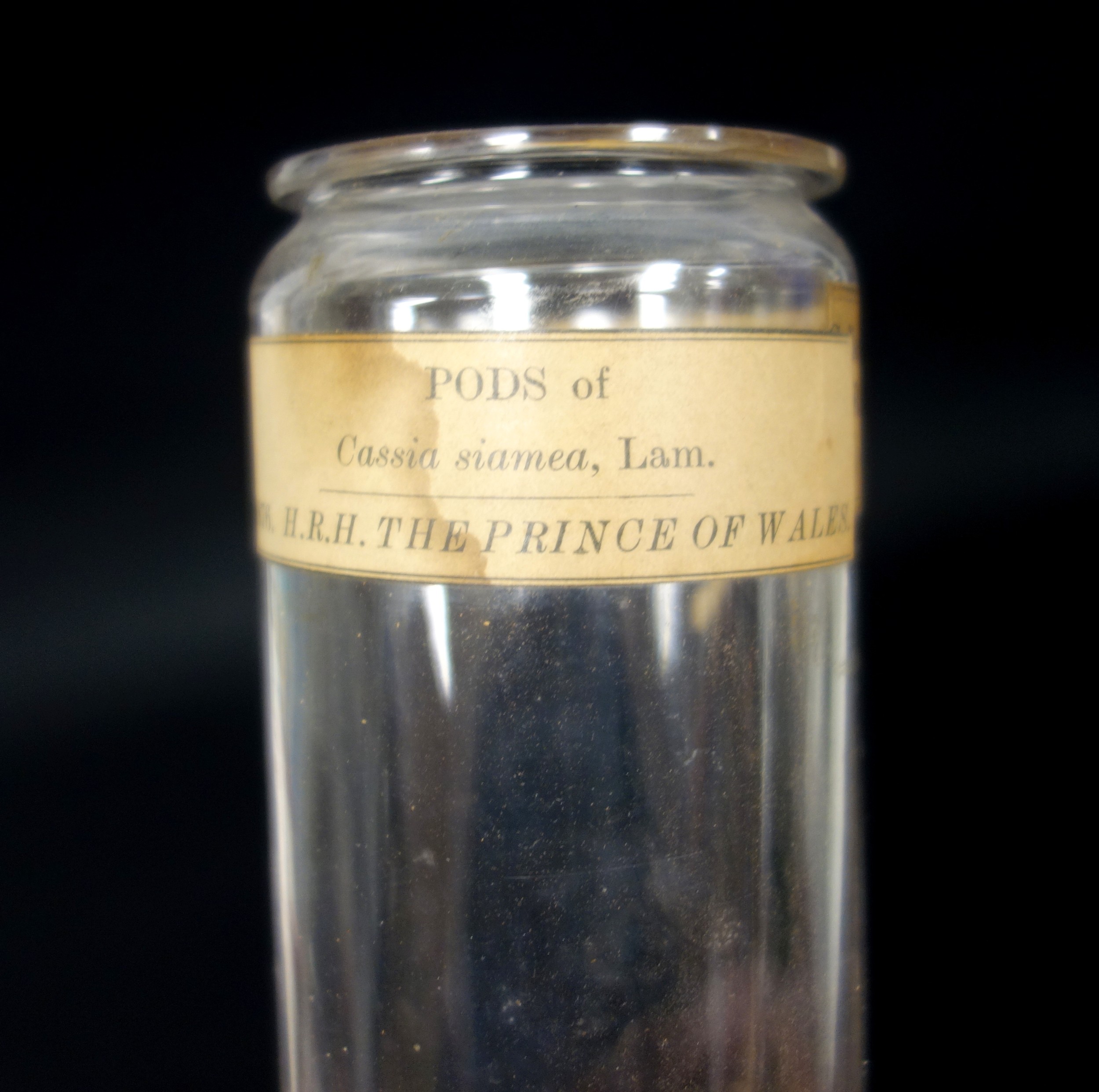 Collection of 14 Victorian and later labelled apothecary jars, including one labelled "Collected - Image 7 of 7