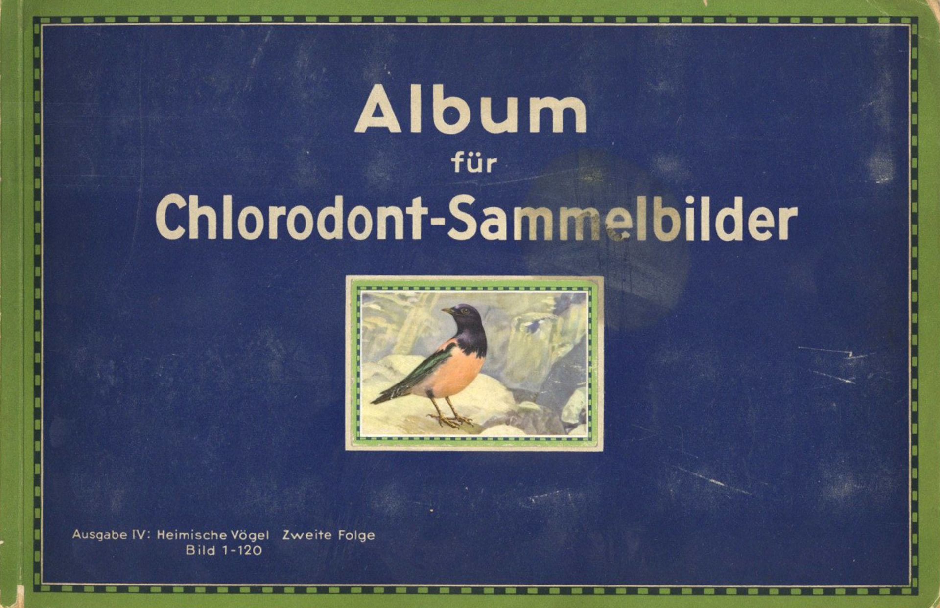 Sammelbild-Album Chlorodont Sammelbilder Heimische Vögel Zweite Folge hrsg. Leo-Werke o. Jahr kompl.