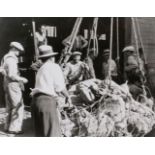 Lewis W. Hine (Oshkosh 1874 - Hastings-on-Hudson 1940). Union Dock Workers back on Job in S. F.