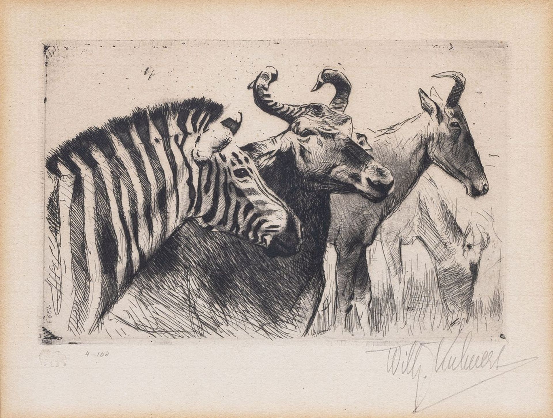 Wilhelm Kuhnert (Oppeln 1865 - Flims/CH 1926). Zebra und Gnus.