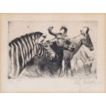 Wilhelm Kuhnert (Oppeln 1865 - Flims/CH 1926). Zebra und Gnus.