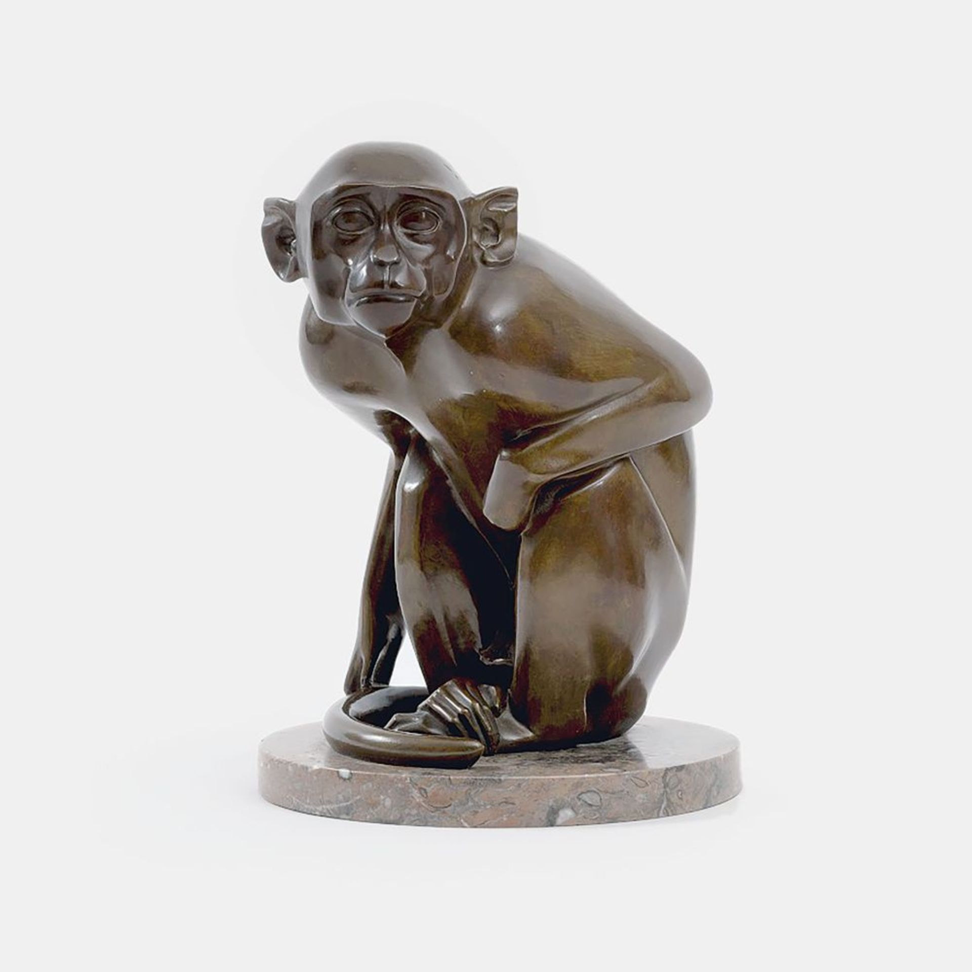 Krieger, Wilhelm (Norderney 1877 - Herrsching 1945). A Rhesus Monkey.