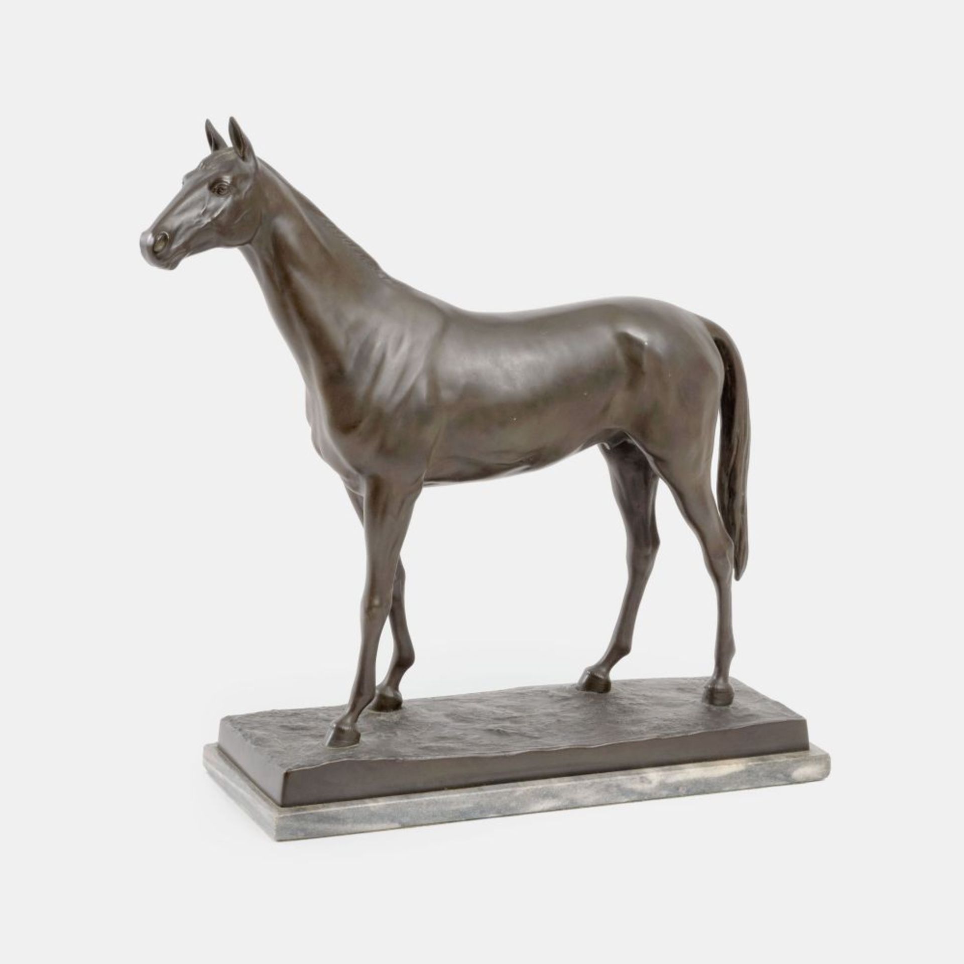 Zeller, August (Bordentown, New Jersey 1863 - Pittsburgh, Pennsylvania 1918). A Standing horse.