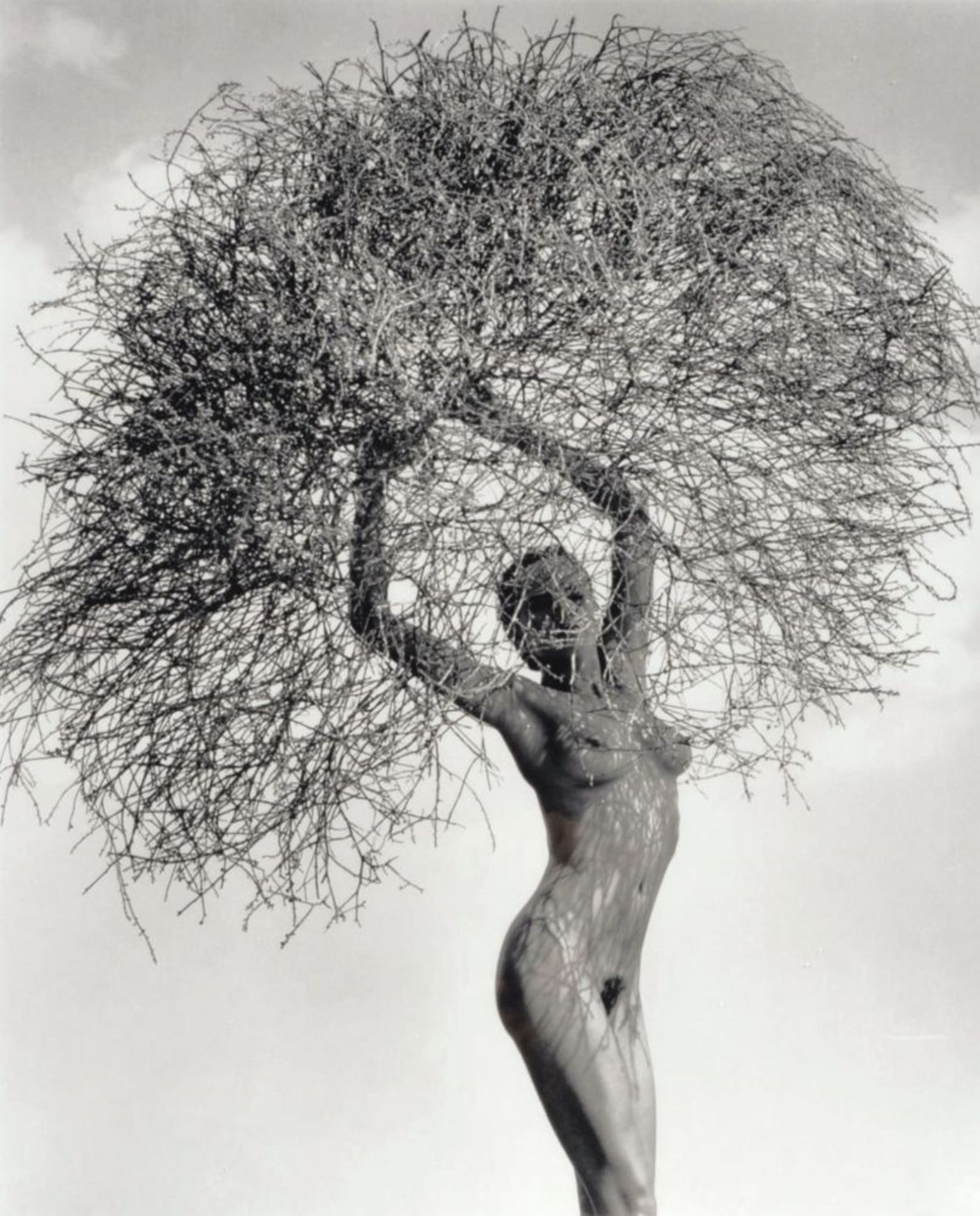 Ritts, Herb (Los Angeles 1952 - Los Angeles 2002). Neith with Tumbleweed Paradise Cove.