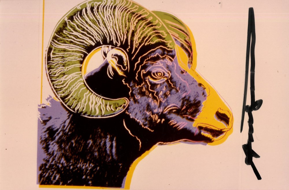 ANDY WARHOL - Bighorn Ram - Original color analogue photograph