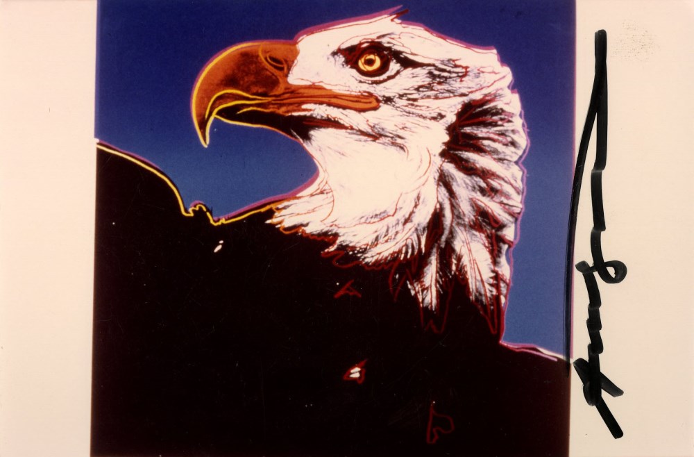 ANDY WARHOL - Bald Eagle - Original color analogue photograph