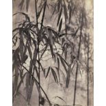 CHIN-SAN LONG [lang jingshan/lang ching-shan] - Feuilles de bambou - Original vintage photogravure