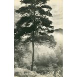 CHIN-SAN LONG [lang jingshan/lang ching-shan] - Brouillard du matin - Original vintage photogravure