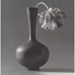 ROBERT MAPPLETHORPE - Parrot Tulip in a Black Vase - Original vintage photogravure