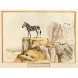 Cornwallis Harris - THE MODERN ZEBRA AND THE KLIP SPRINGER