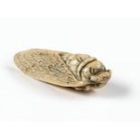 A CHINESE IVORY CICADA, QING DYNASTY, 19TH CENTURY