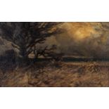 William Henry Totterdell Venner (England 1864 - 1938): THE PASSING STORM. ZULULAND signed; signed