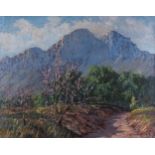 George Paul Canitz (South African 1874 - 1959): MOUNTAINOUS LANDSCAPE WITH BLOSSOMING TREE signed