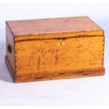 A RECTANGULAR PINE KIST, 19TH CENTURY With a rectangular top the sides fitted with iron carrying