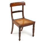 A CAPE STINKWOOD REGENCY CHAIR, LATE 19TH CENTURY