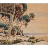 Â Sydney Carter (South African 1874 - 1946) TREE IN LANDSCAPE