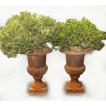 A PAIR OF CAST IRON CAMPANA-SHAPED GARDEN PLANTERS