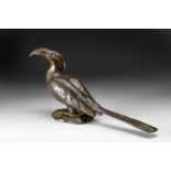 A DONALD GREIG BRONZE OF A HORNBILL, 1999