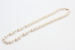 14ct gold clasp pearl necklace (32.2g)