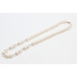 14ct gold clasp pearl necklace (32.2g)