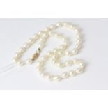 Fine 14ct Gold and Cultured Pearl NecklaceWell strung with a 14ct Gold clasp and Baroque tapered