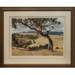 Framed Print Tree On Hillside M Connery 24/100