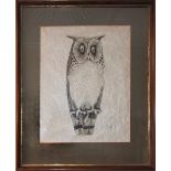 Framed Ink On Paper Owl Signed