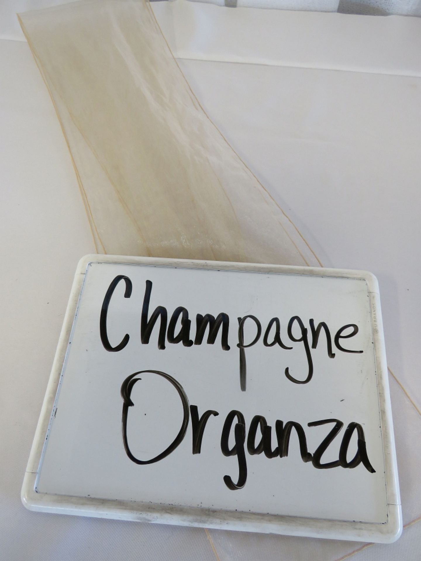 Chair Sash, Organza, Champagne