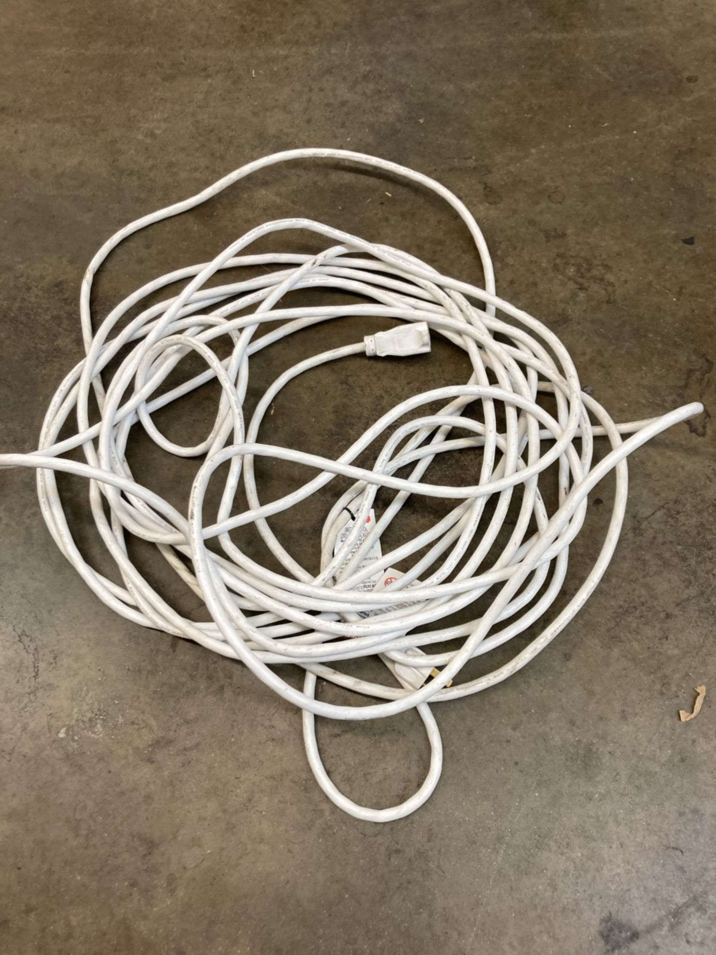 50' Extension Cords, 16 ga. - Image 2 of 2