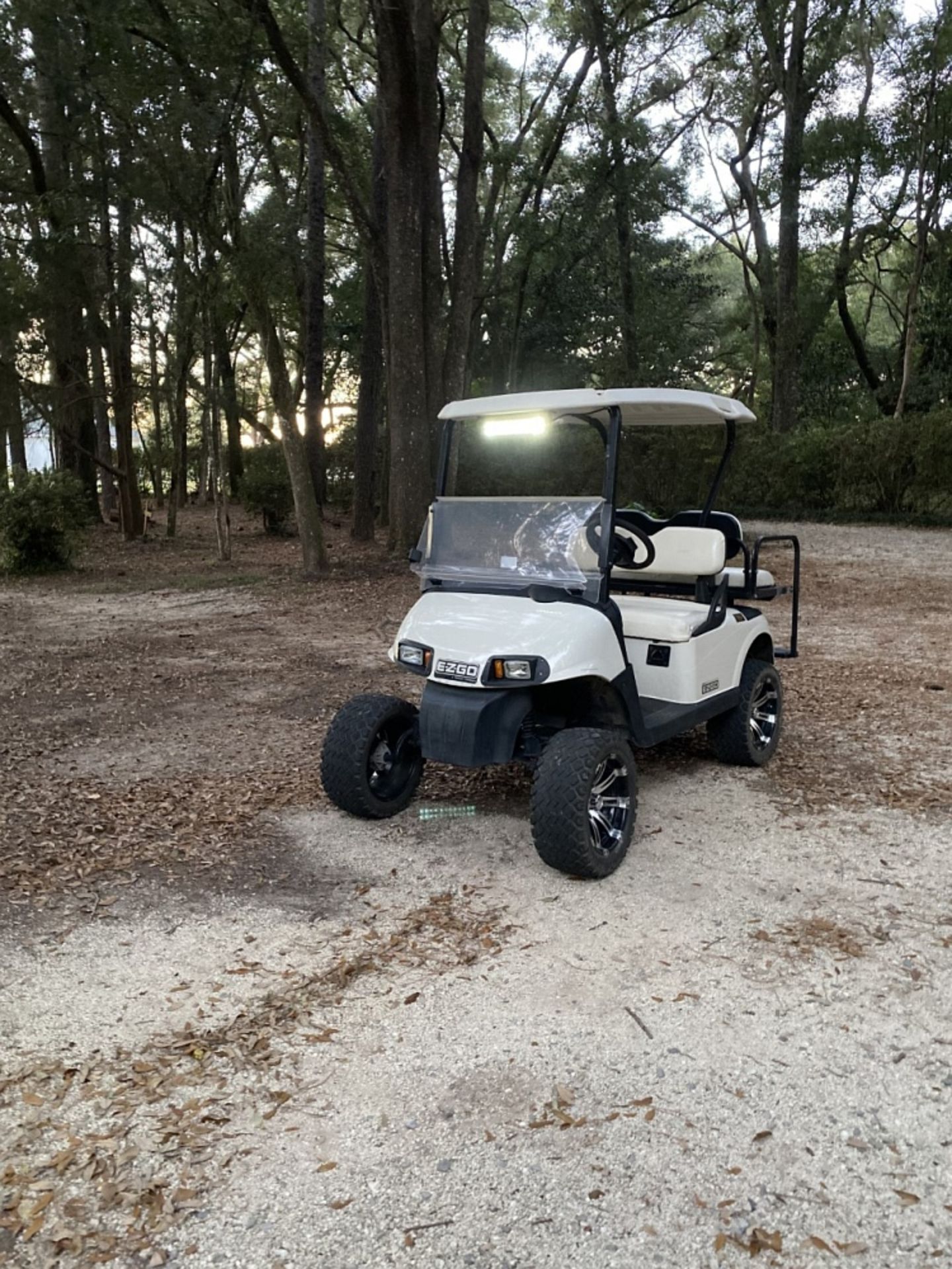 2010 EZGO RXV GOLF CART 4-SEATER, ELECTRIC - Image 4 of 6