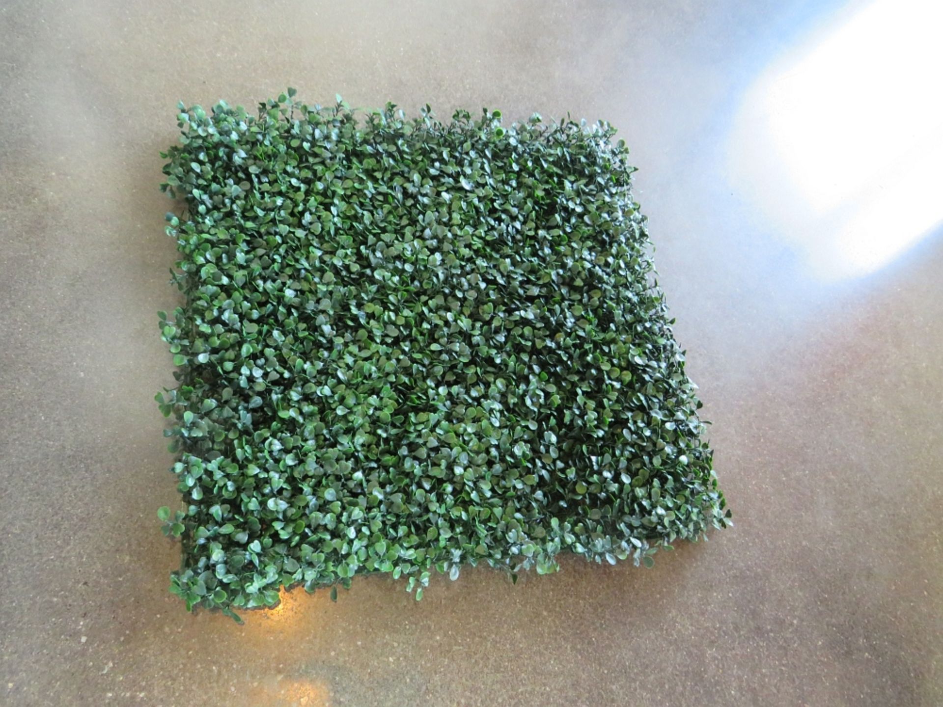 BOXWOOD, ARTIFICAL PANEL 20"X20"