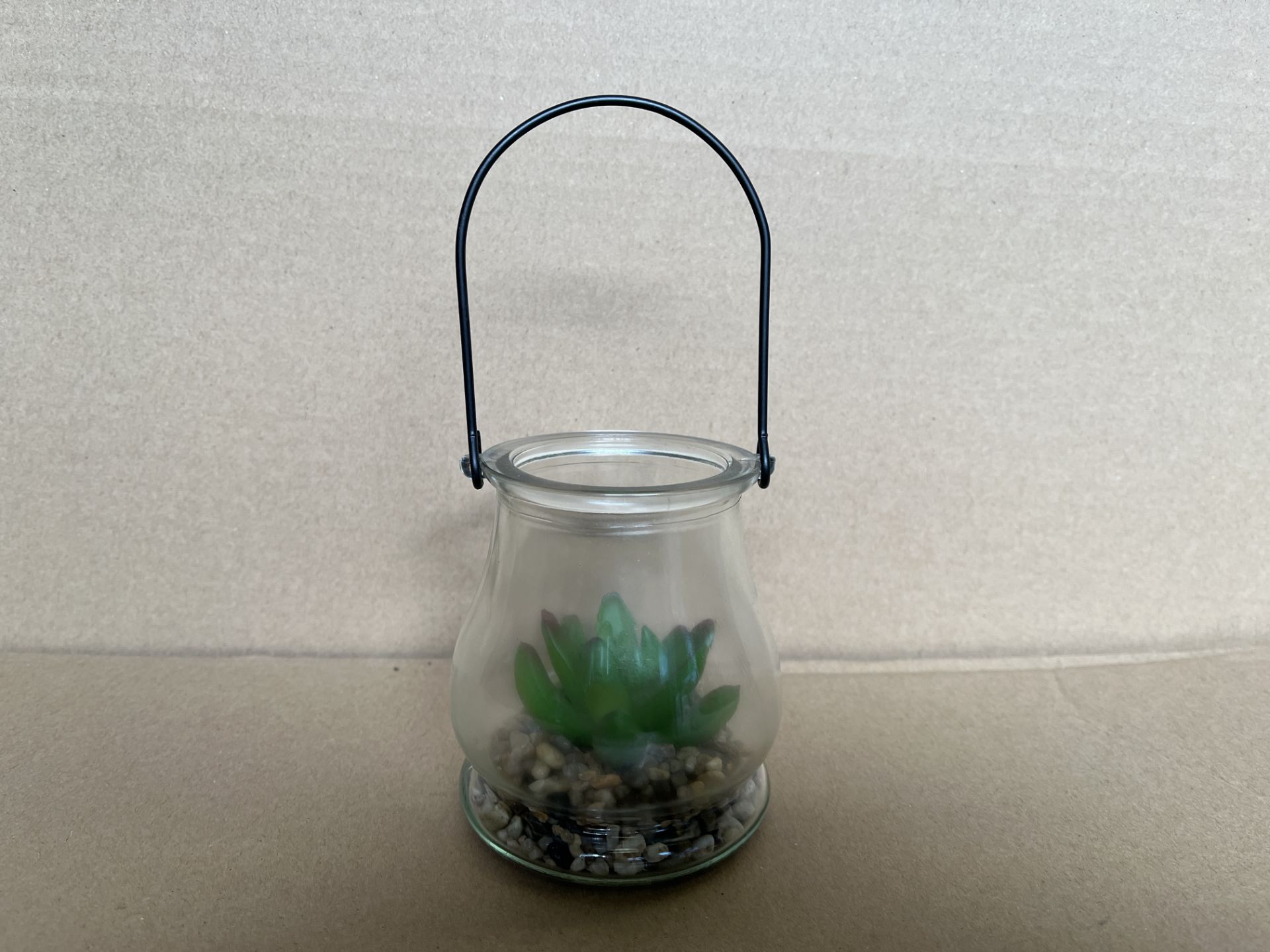 26 X BRAND NEW SUCCULENT IN GLASS LANTERNS 10CM S1-8