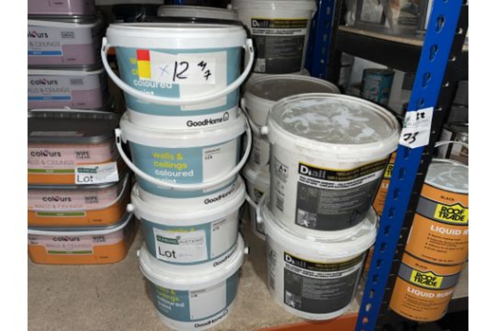 19 PIECE MIXED PAINT LOT INCLUDING GOODHOME, COLOURS ETC PCK