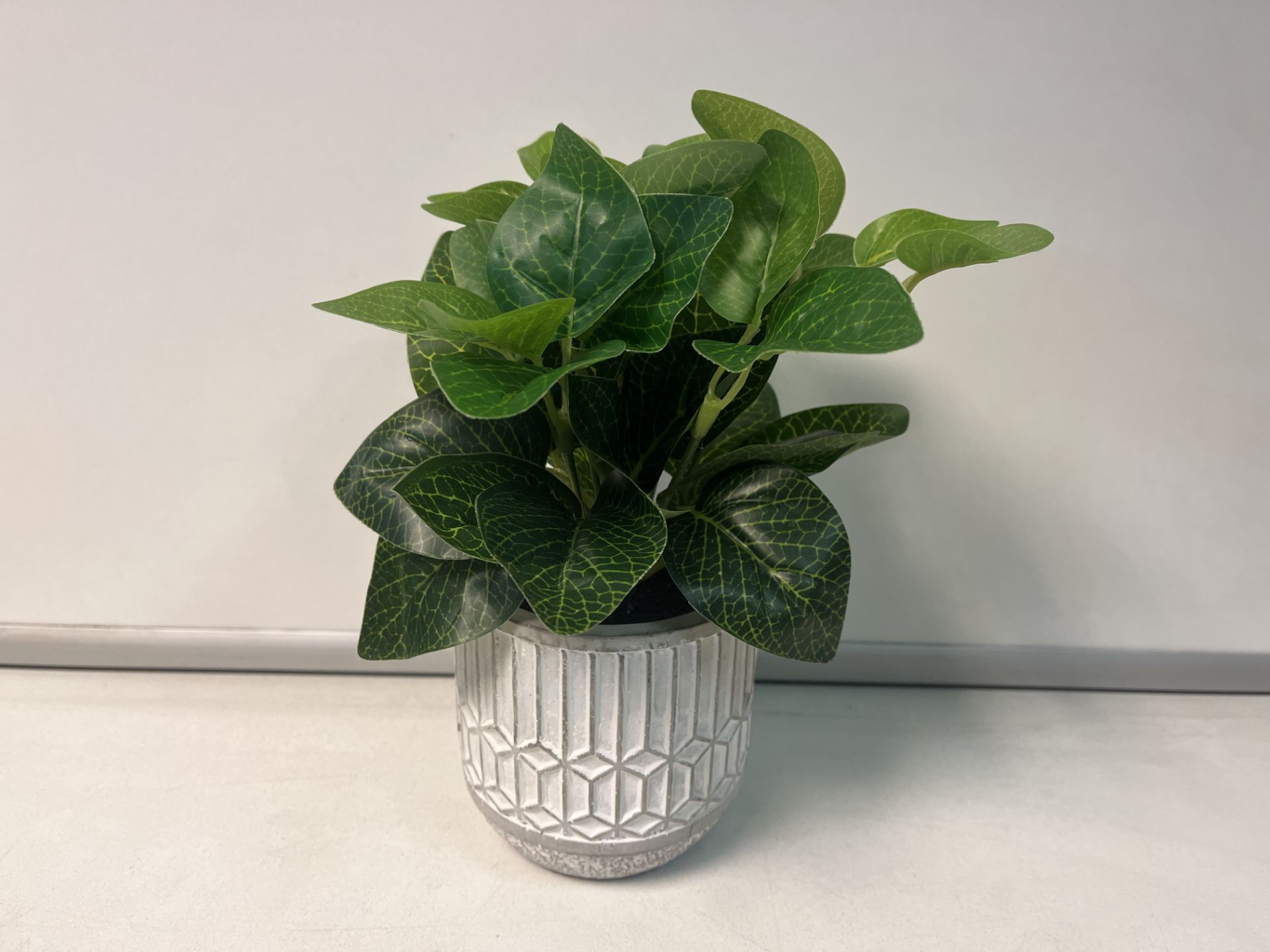 18 X BRAND NEW EVERGREEN LEAVES IN GREY CERAMIC POT R19