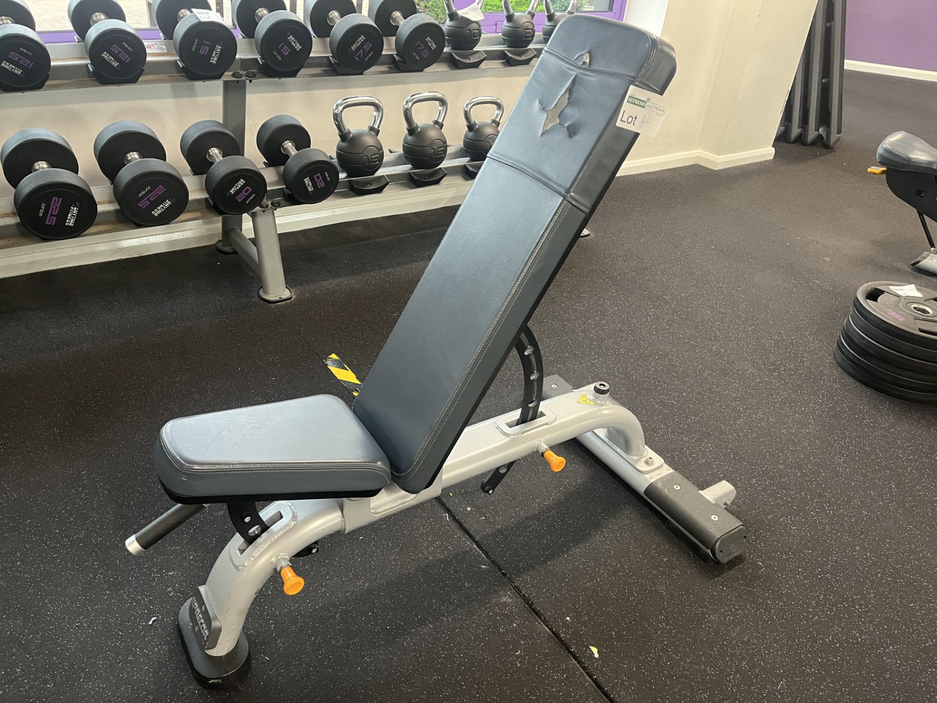 PRECOR ADJUSTABLE WEIGHTS BENCH