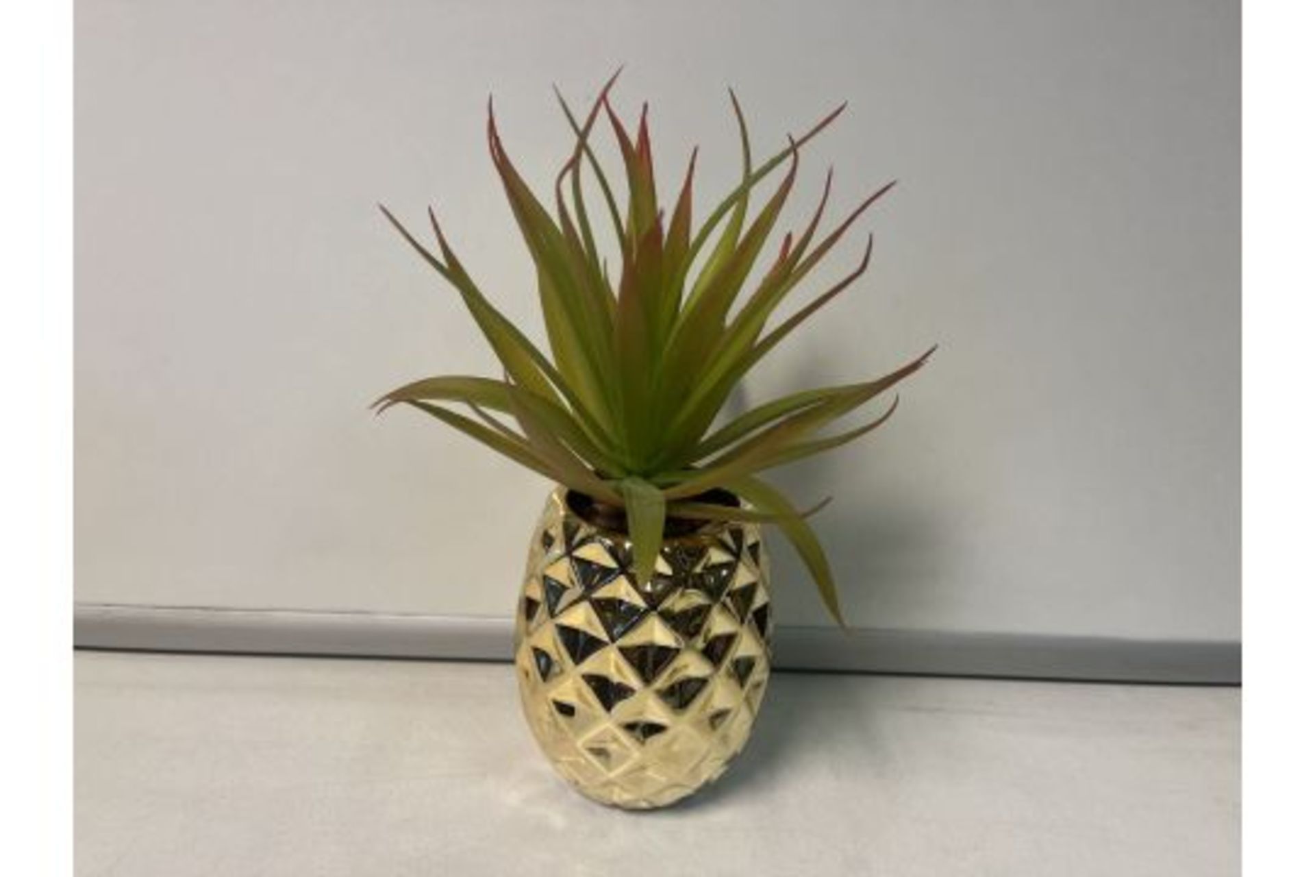 18 X BRAND NEW PINEAPPLE POTS WITH ALOE VERA SUCCULENT R19